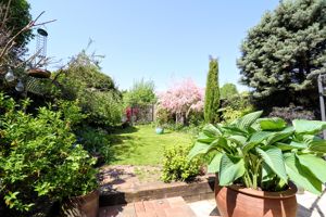 Garden- click for photo gallery